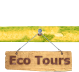 Eco tours